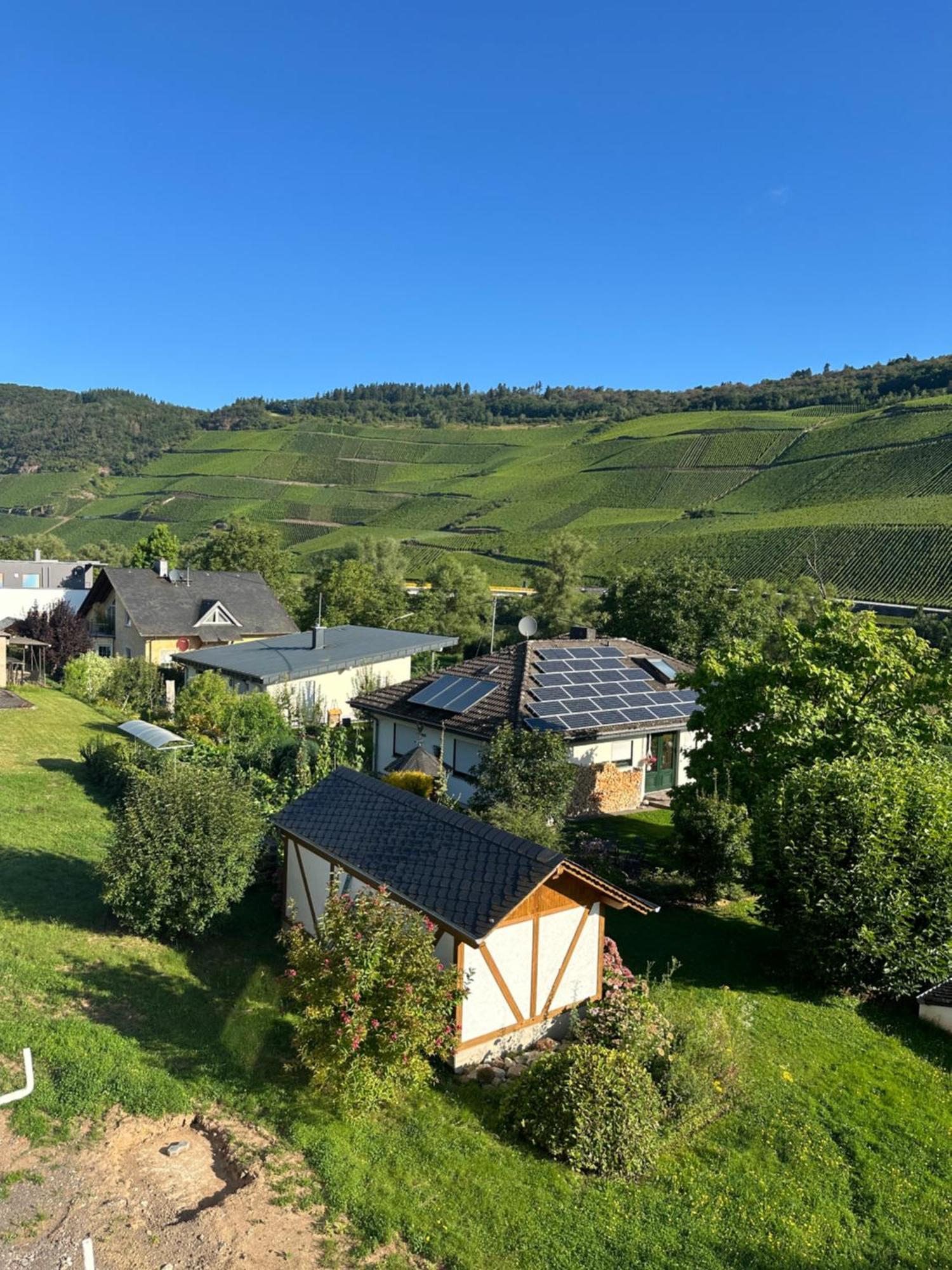 Moselappartements By Weingut Marco Adamy Lösnich Eksteriør billede