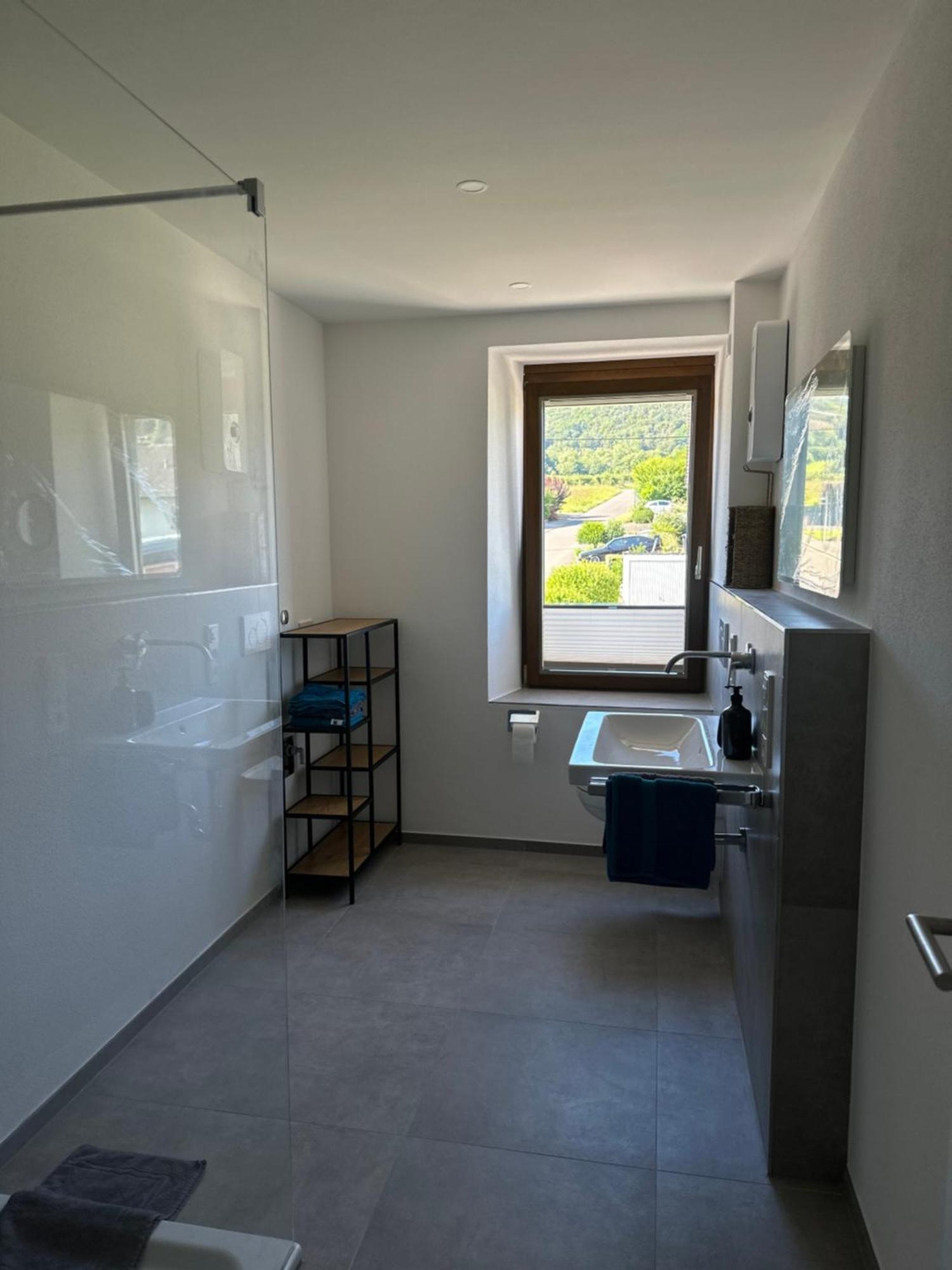 Moselappartements By Weingut Marco Adamy Lösnich Eksteriør billede