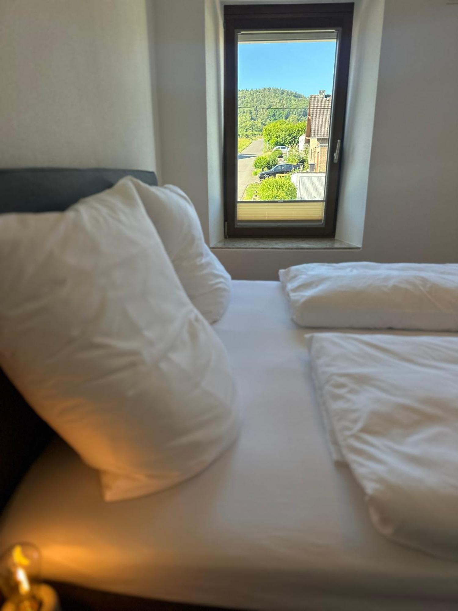 Moselappartements By Weingut Marco Adamy Lösnich Eksteriør billede