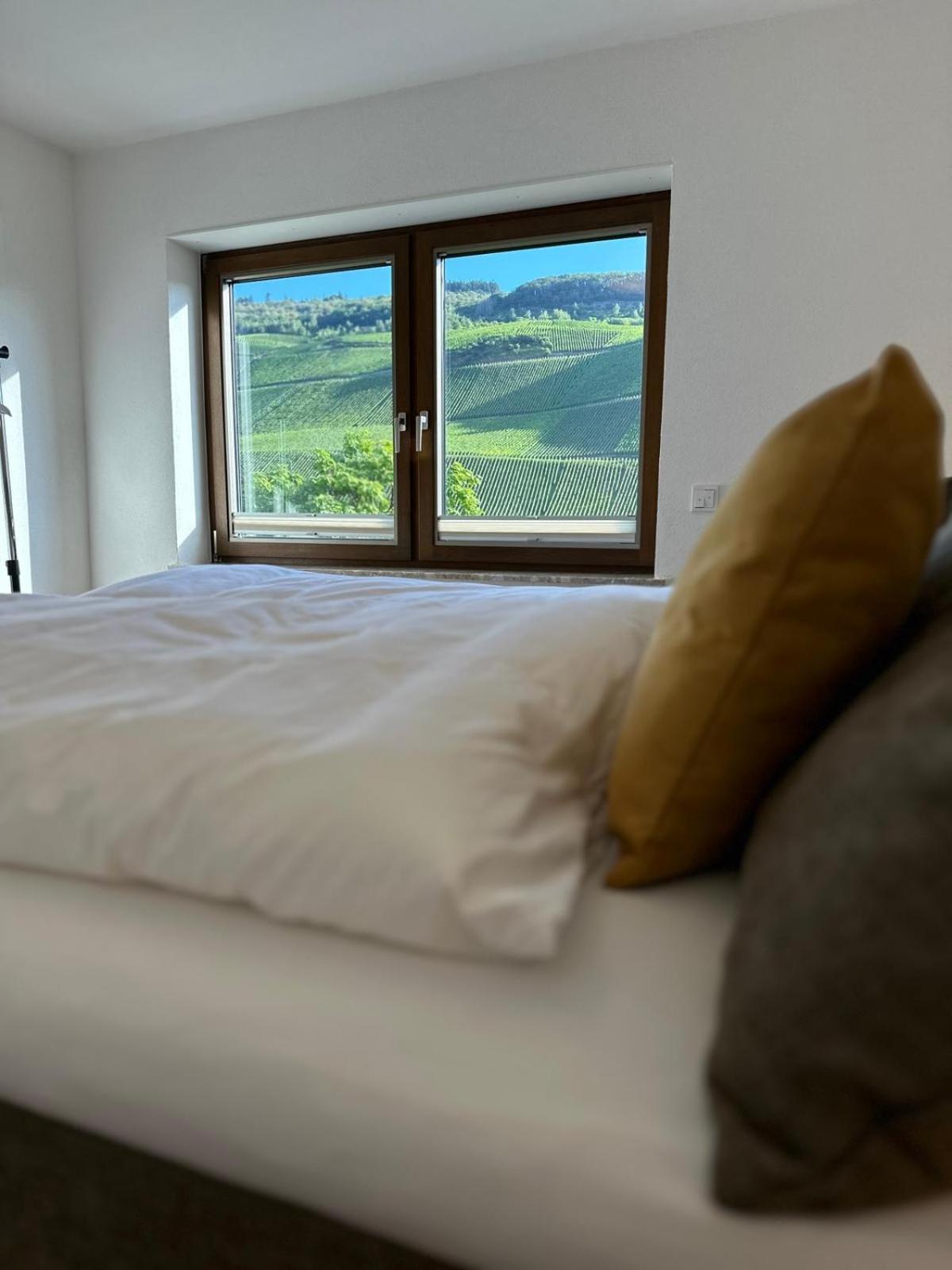 Moselappartements By Weingut Marco Adamy Lösnich Eksteriør billede