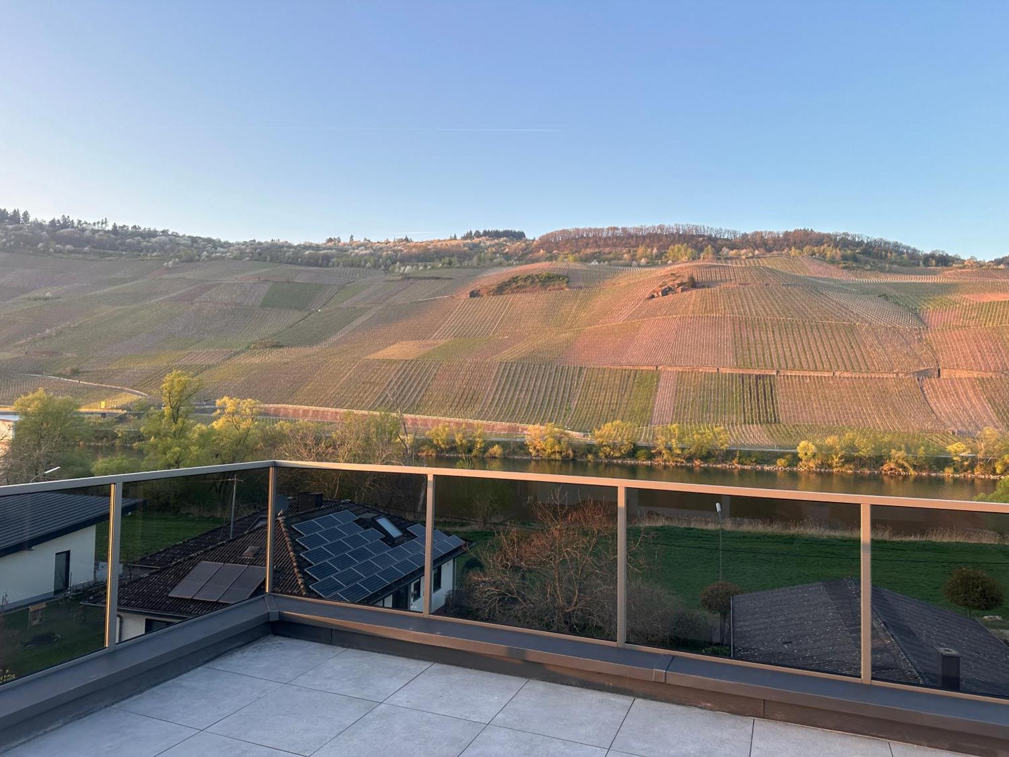 Moselappartements By Weingut Marco Adamy Lösnich Eksteriør billede