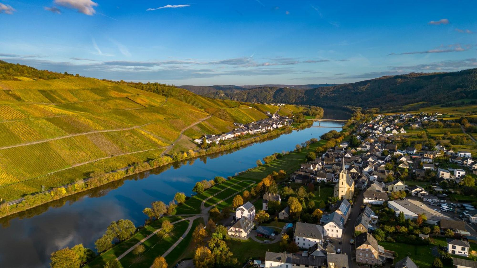 Moselappartements By Weingut Marco Adamy Lösnich Eksteriør billede