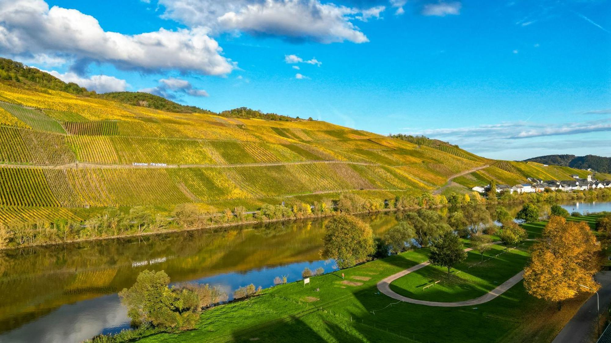 Moselappartements By Weingut Marco Adamy Lösnich Eksteriør billede