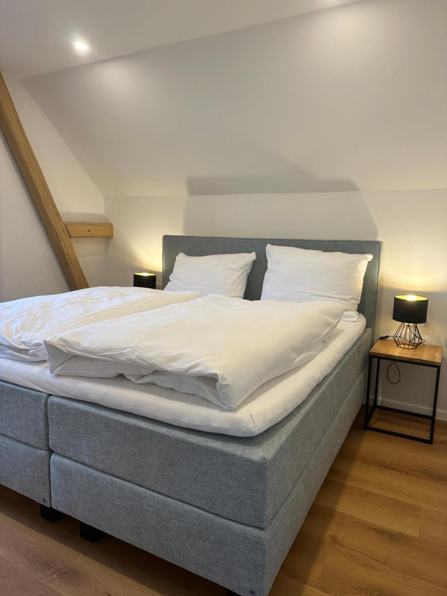 Moselappartements By Weingut Marco Adamy Lösnich Eksteriør billede