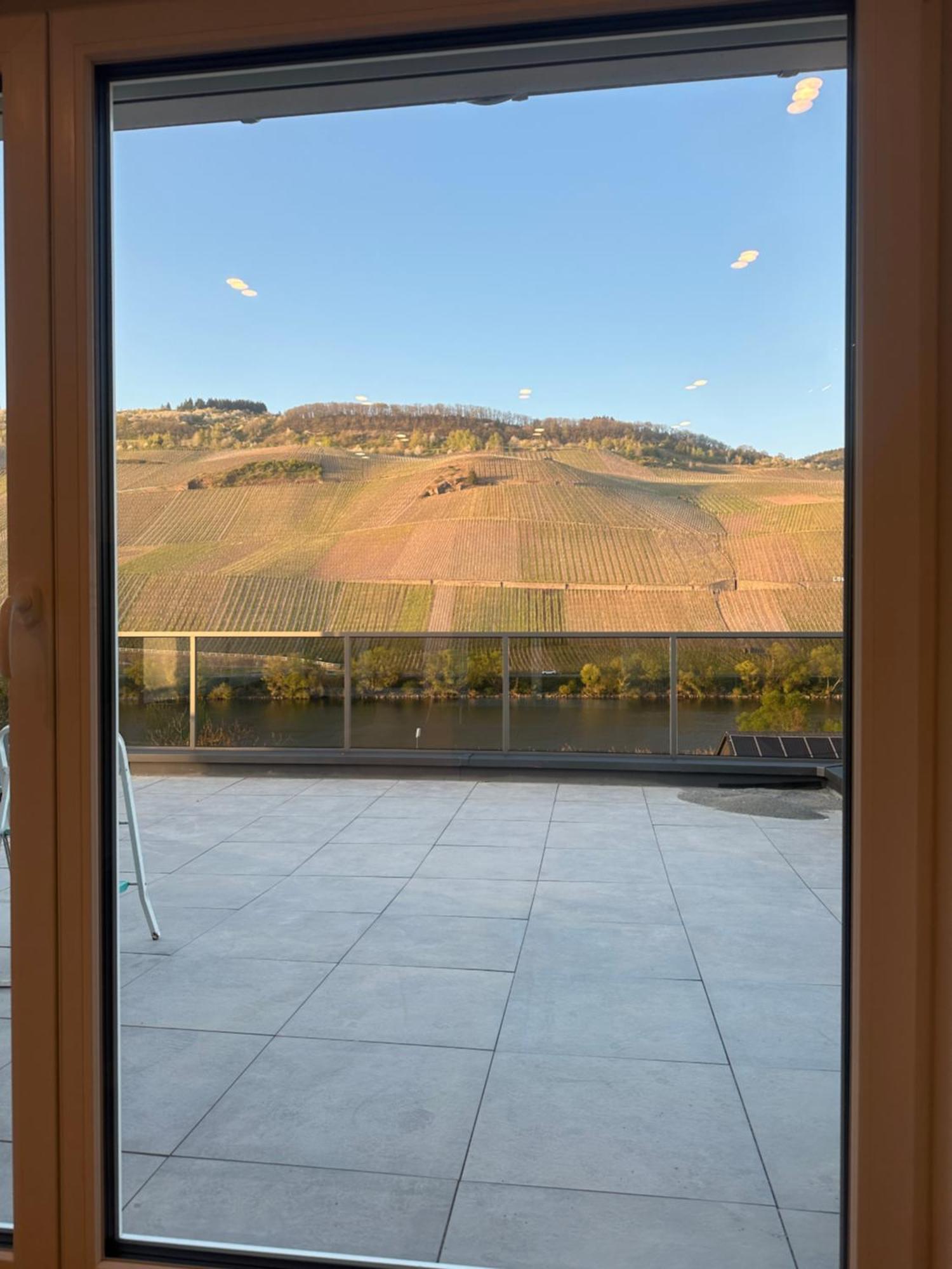 Moselappartements By Weingut Marco Adamy Lösnich Eksteriør billede