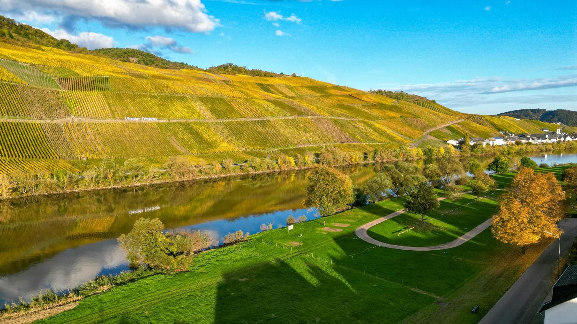 Moselappartements By Weingut Marco Adamy Lösnich Eksteriør billede