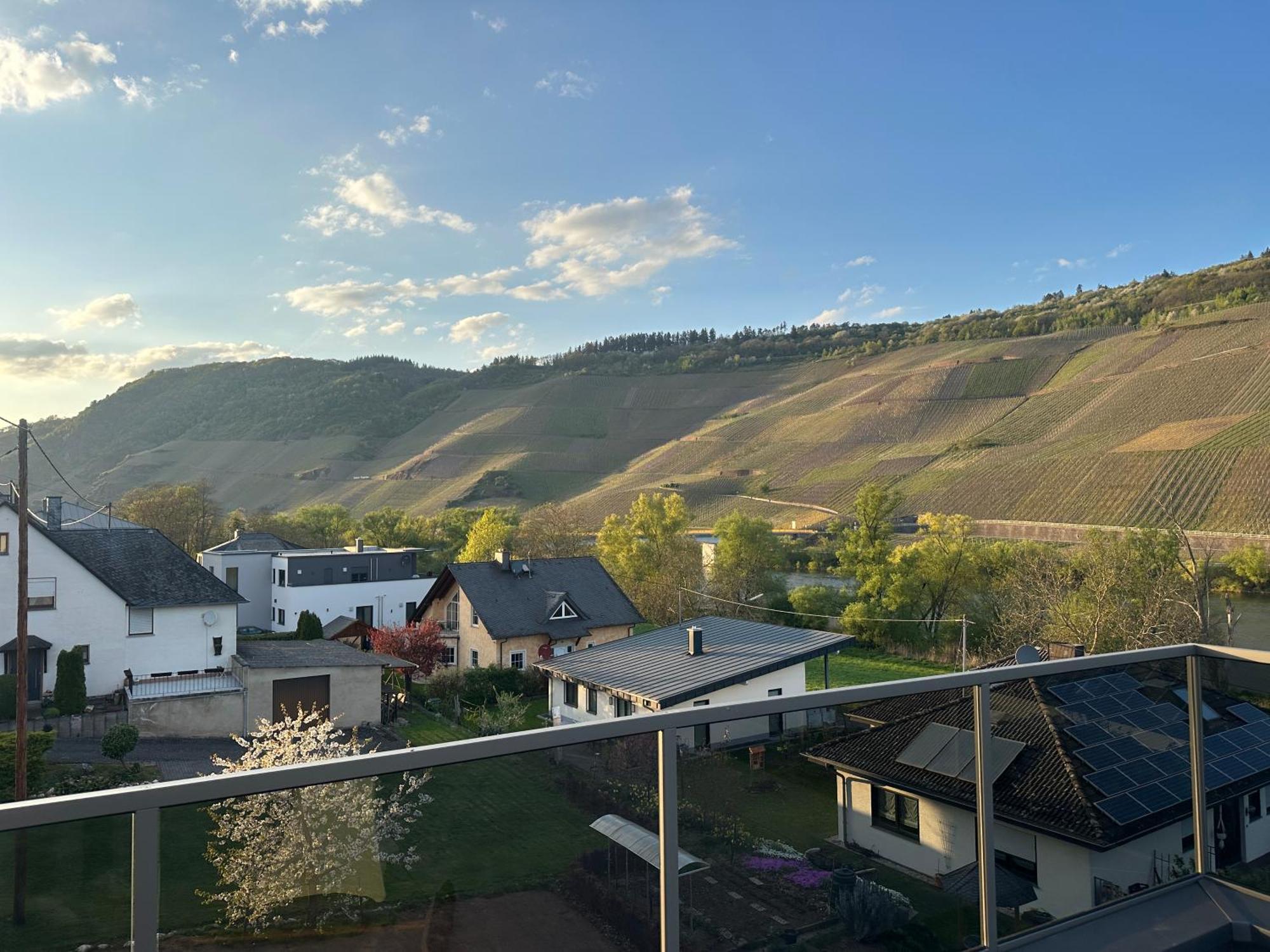 Moselappartements By Weingut Marco Adamy Lösnich Eksteriør billede